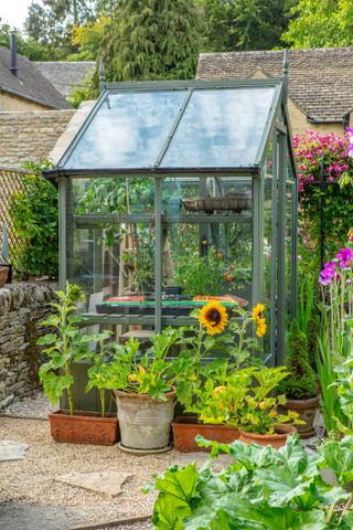 small greenhouse in a cottage garden