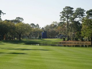 The testing 16th at Innisbrook