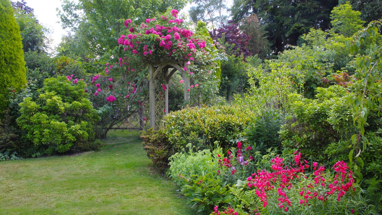 A garden bed filled with flowering shrubs in summer and next to a lawn