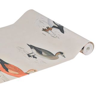 ducks bird wallpaper roll