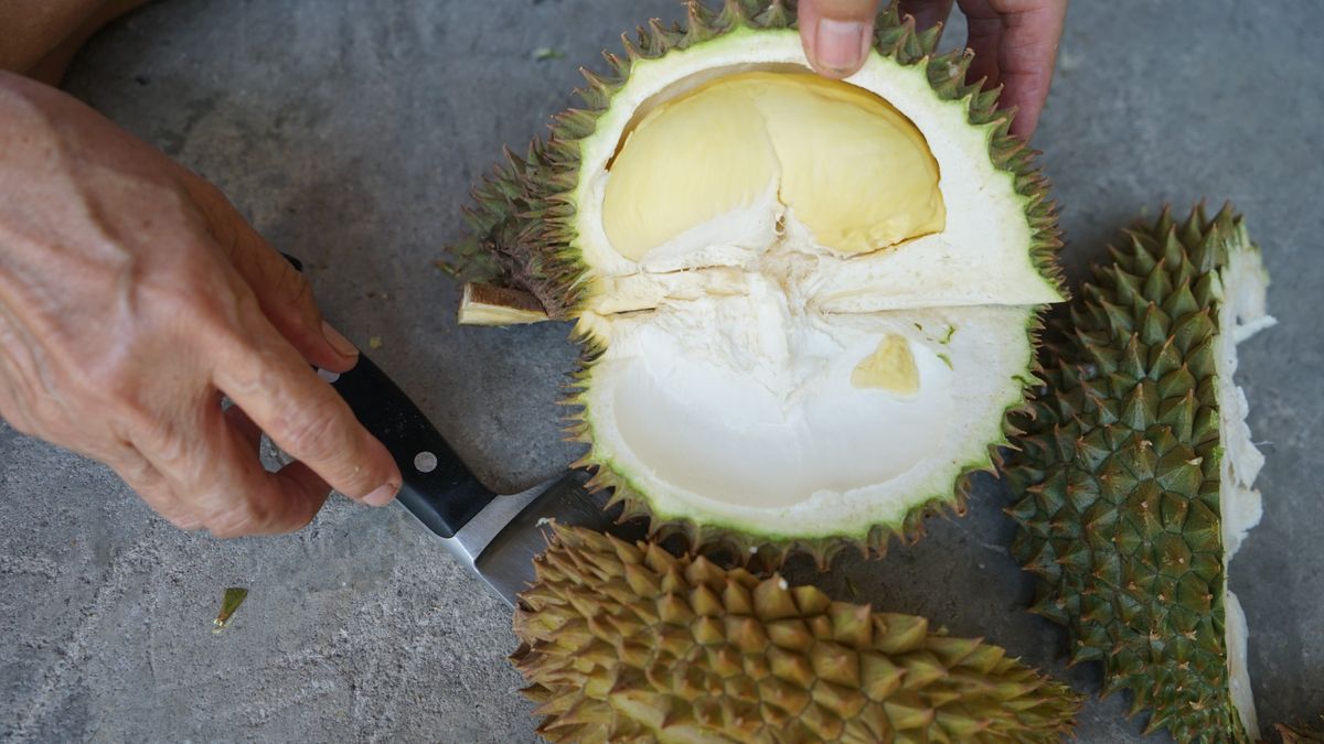 This fruit may be able to charge your phone - if you can tolerate its horrible smell