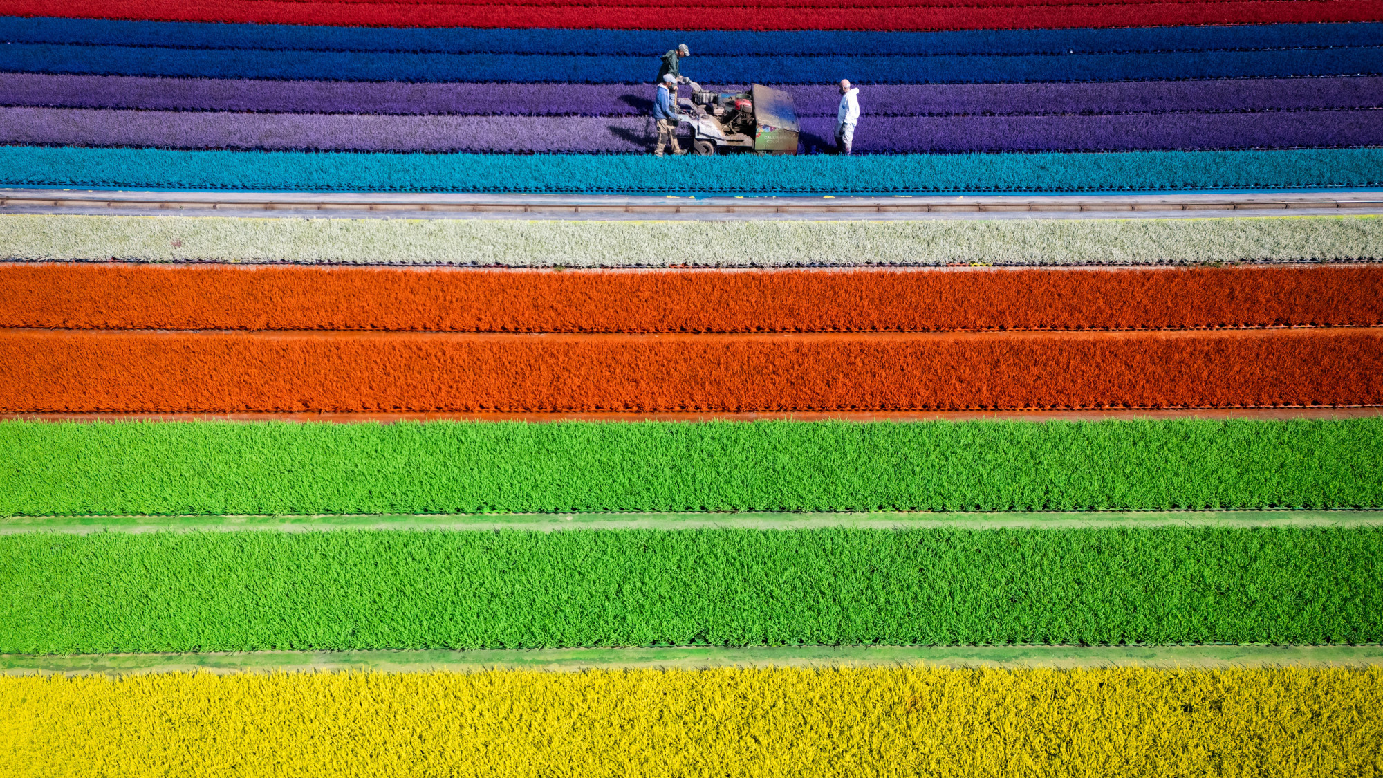 A field
