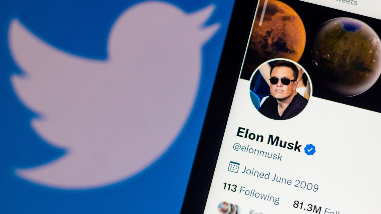 Elon Musk Twitter page