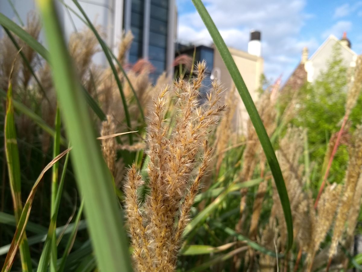 Sharp focus and a great depth effect