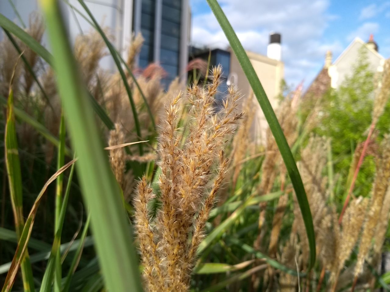 Sharp focus and a great depth effect