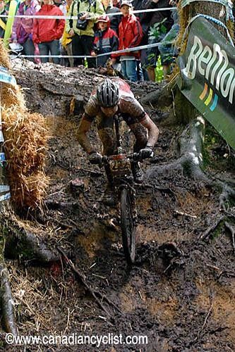 Wet roots