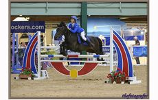 3-Lily-Smith-Holly-VI-Cp-138cm-GRAH9649hhweb.jpg