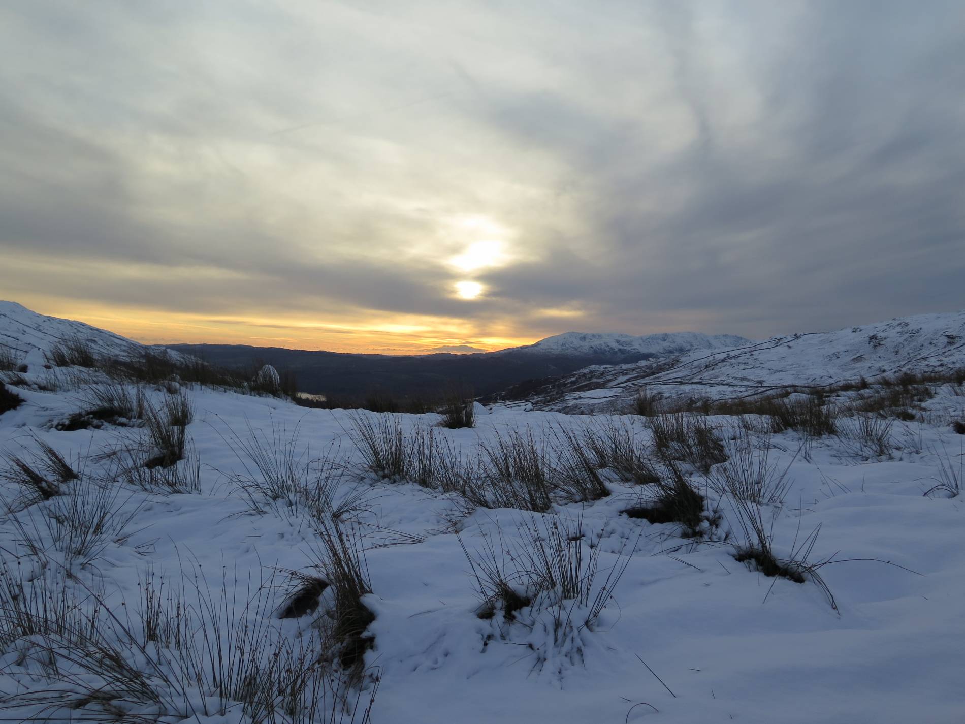 GuruShots - February 2026