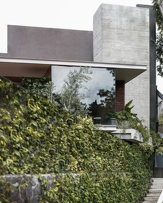 The house combines concrete and glass volumes that float above the garden’s rich foliage