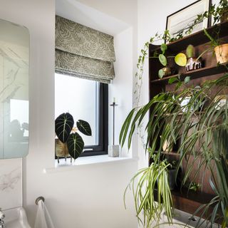white bathroom with plants on a wooden shelf and roman blinds