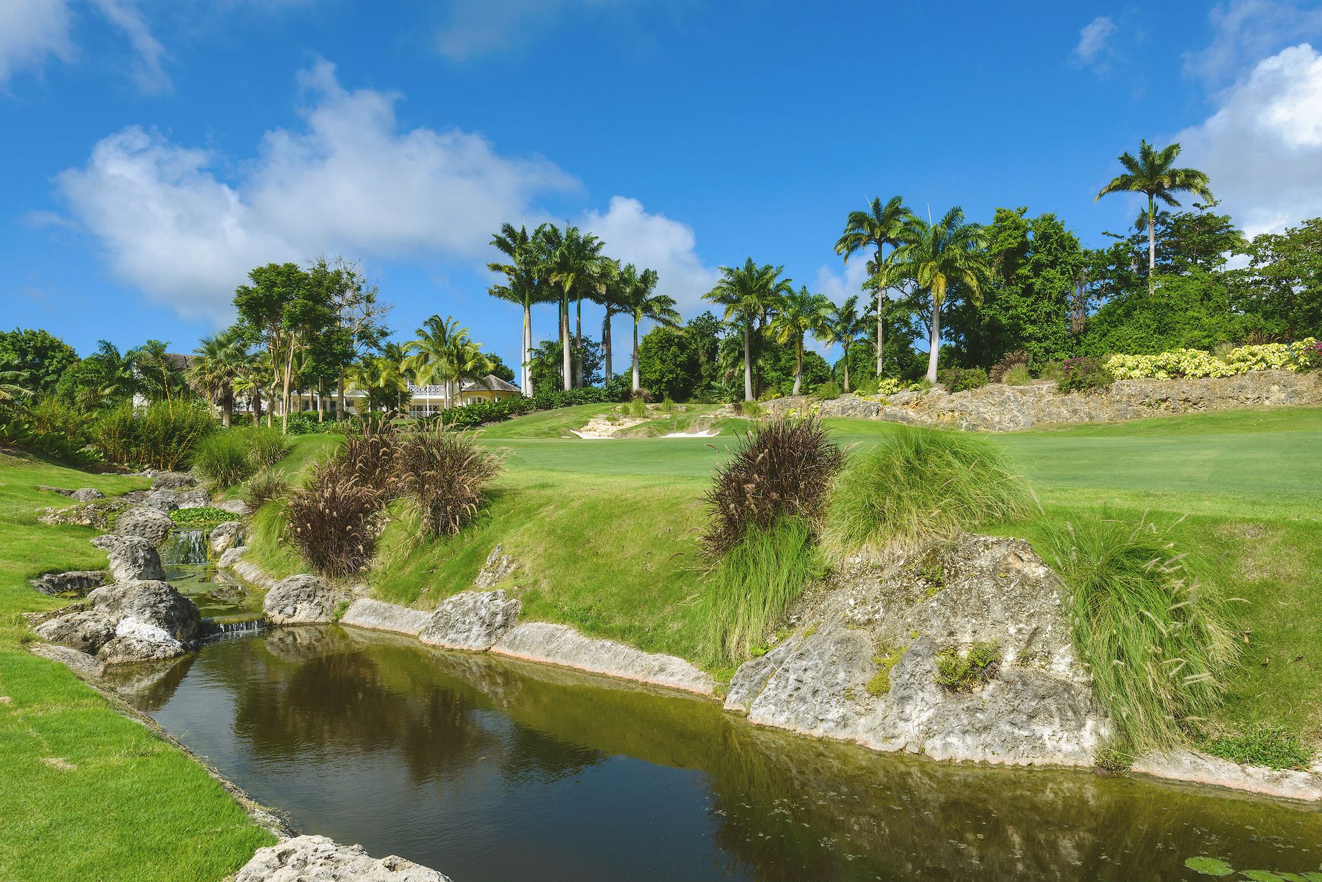 Apes Hill golf course pictured