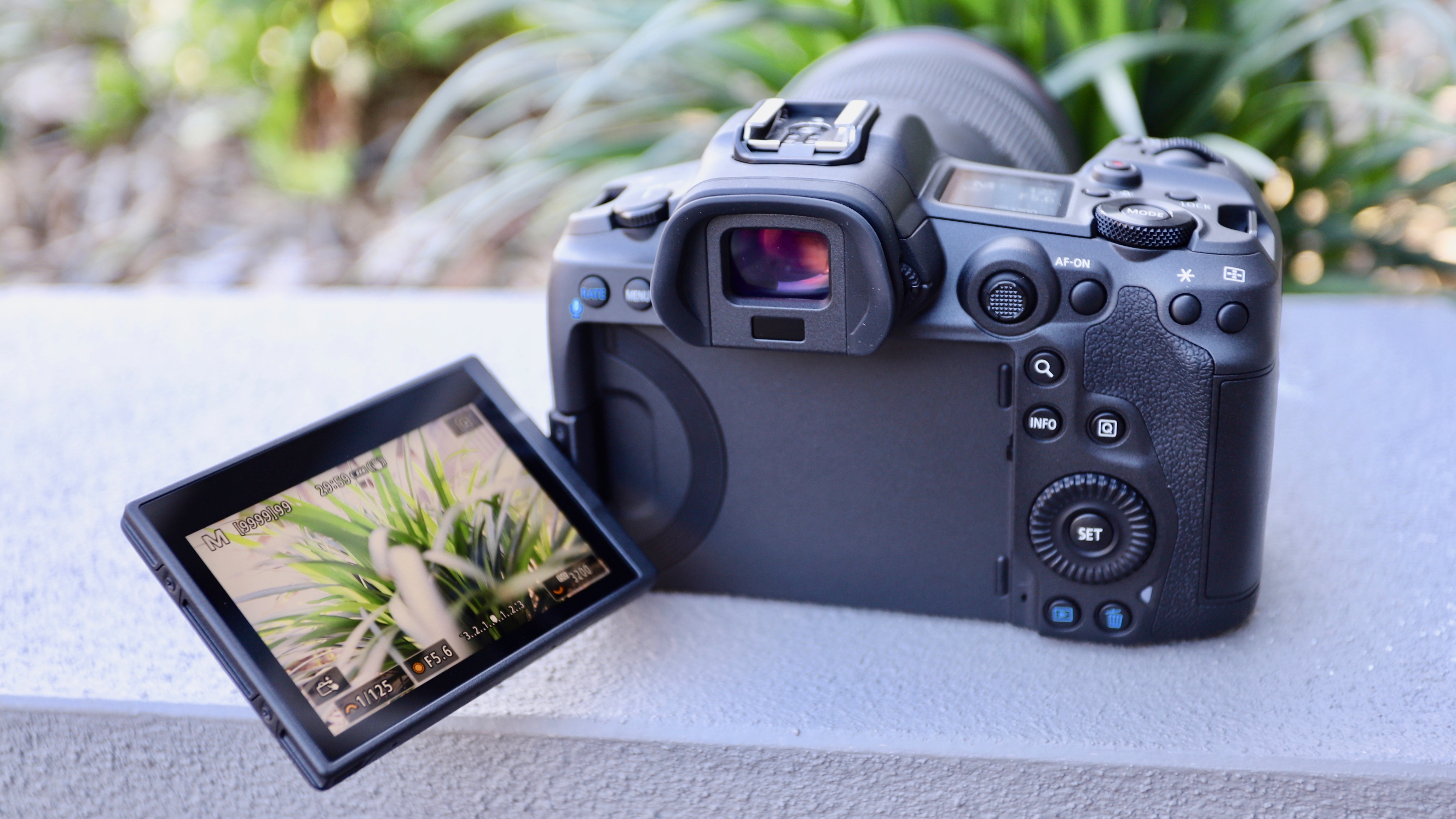 Canon EOS R5 articulating screen