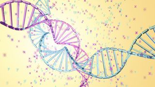 An artist's rendering of two strands of DNA, one blue and one pink, with tiny X and Y chromosomes in the background