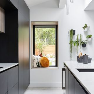 kitchen with white wall window plant pots on wall and white counter