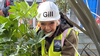 Gillian Wright in a hard hat holding a leafy plant in DIY SOS: EastEnders