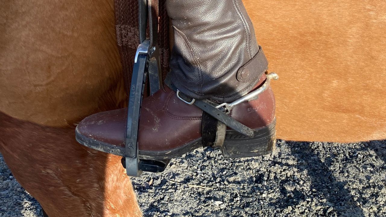 Brogini Trieste boots review