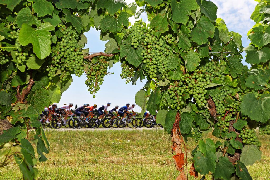 QUILLAN FRANCE JULY 10 The Peloton passing through a Vineyards field during the 108th Tour de France 2021 Stage 14 a 1837km stage from Carcassonne to Quillan LeTour TDF2021 on July 10 2021 in Quillan France Photo by Tim de WaeleGetty Images