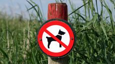 no-dogs-alamy-E23K3T.jpg