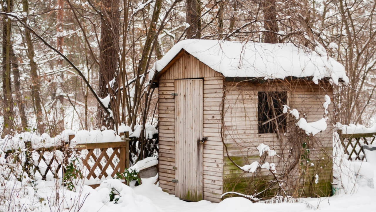 winter shed