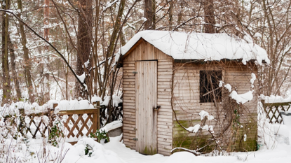 winter shed