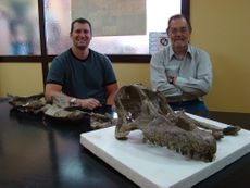 Mart&iacute;nez and Lamanna with Sarmientosaurus musacchioi skull