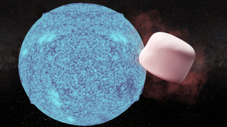 A bright blue sphere next to an irregular pink cube