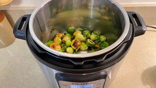 Instant Pot duo plus review