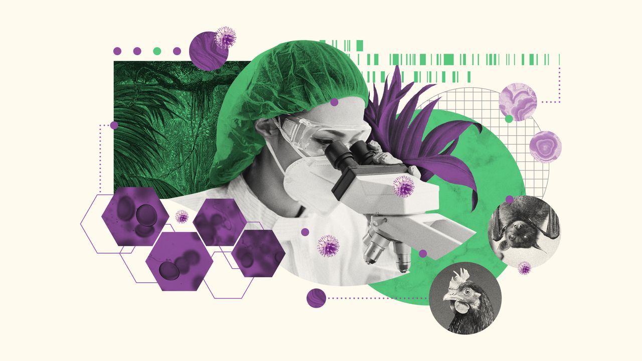 Illustration of a scientist using a microscope, organic cells, a genome sequence, jungle and animals