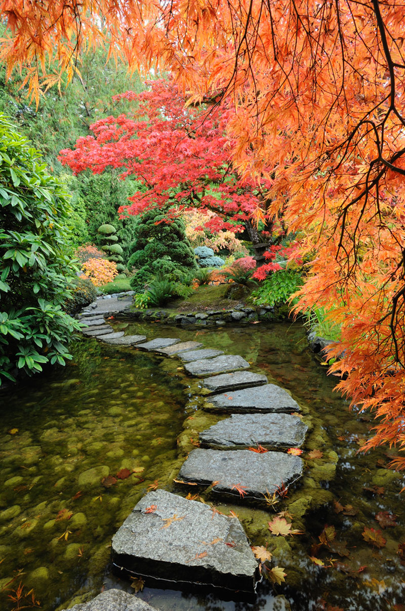 The colorful foliage of autumn