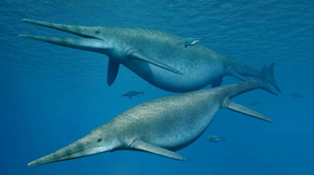 Remains of ‘largest ever’ prehistoric sea monster found in UK | The Week