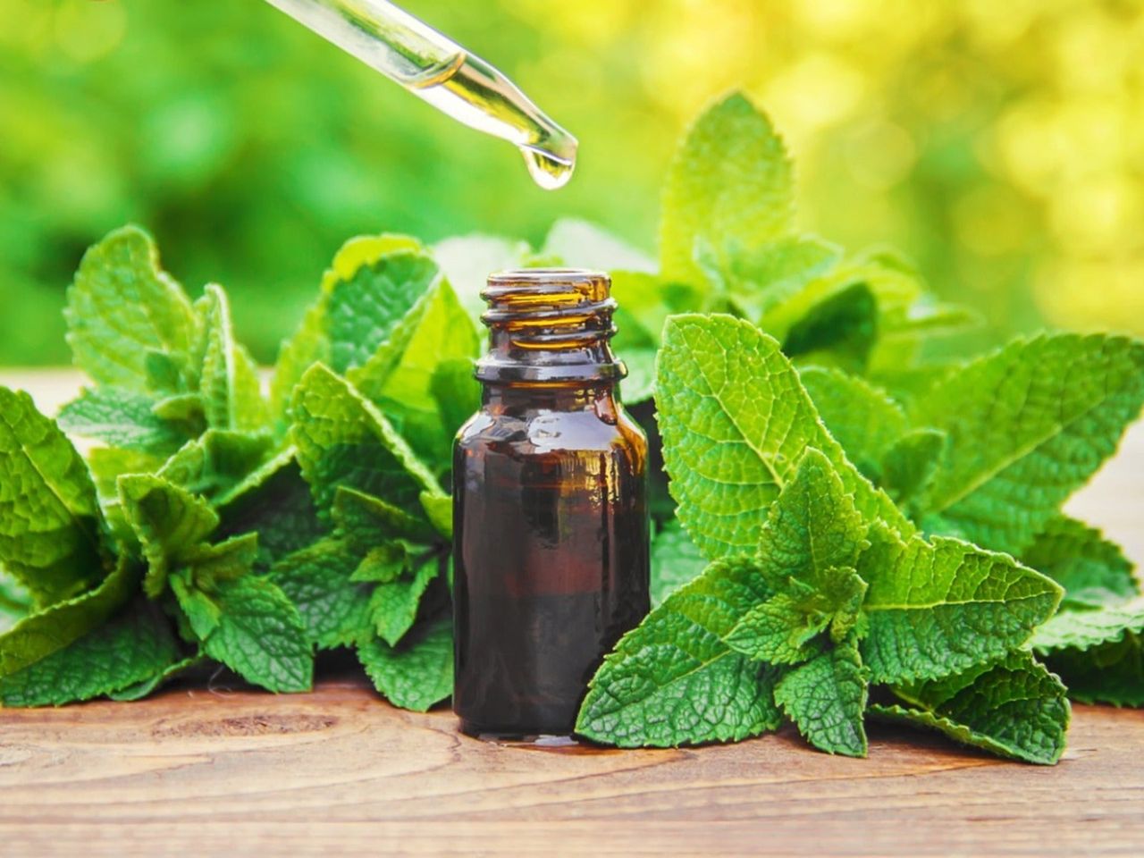 A small brown bottle and dropper surrounded by fresh mint leaves