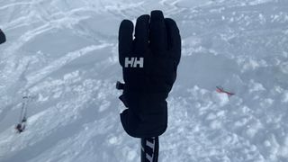 A ski glove on a ski pole