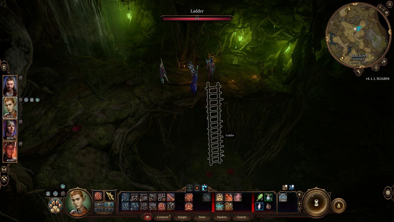 Baldur's Gate 3 Underdark entrances - Ladder
