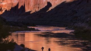 Into the canyon film