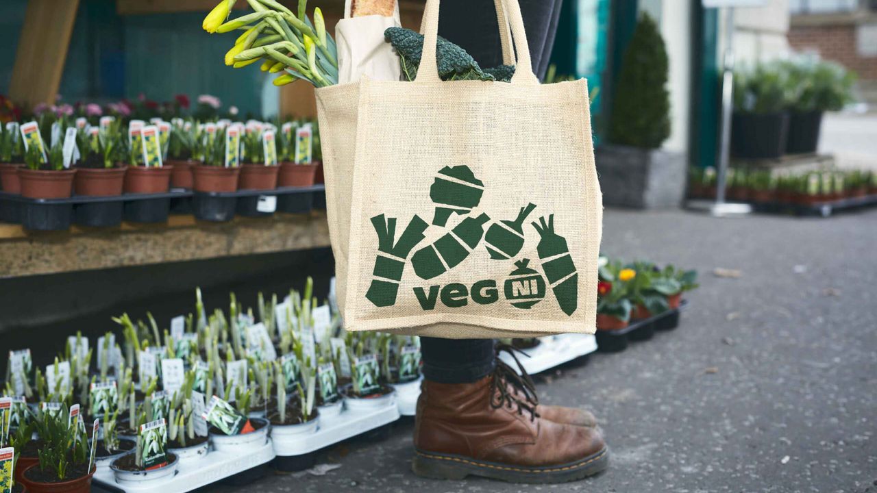 Veg NI by Jack Renwick Studio