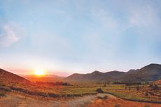 Chile Carmen&egrave;re