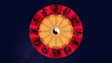 Chinese zodiac signs, Chinese zodiac signs explained