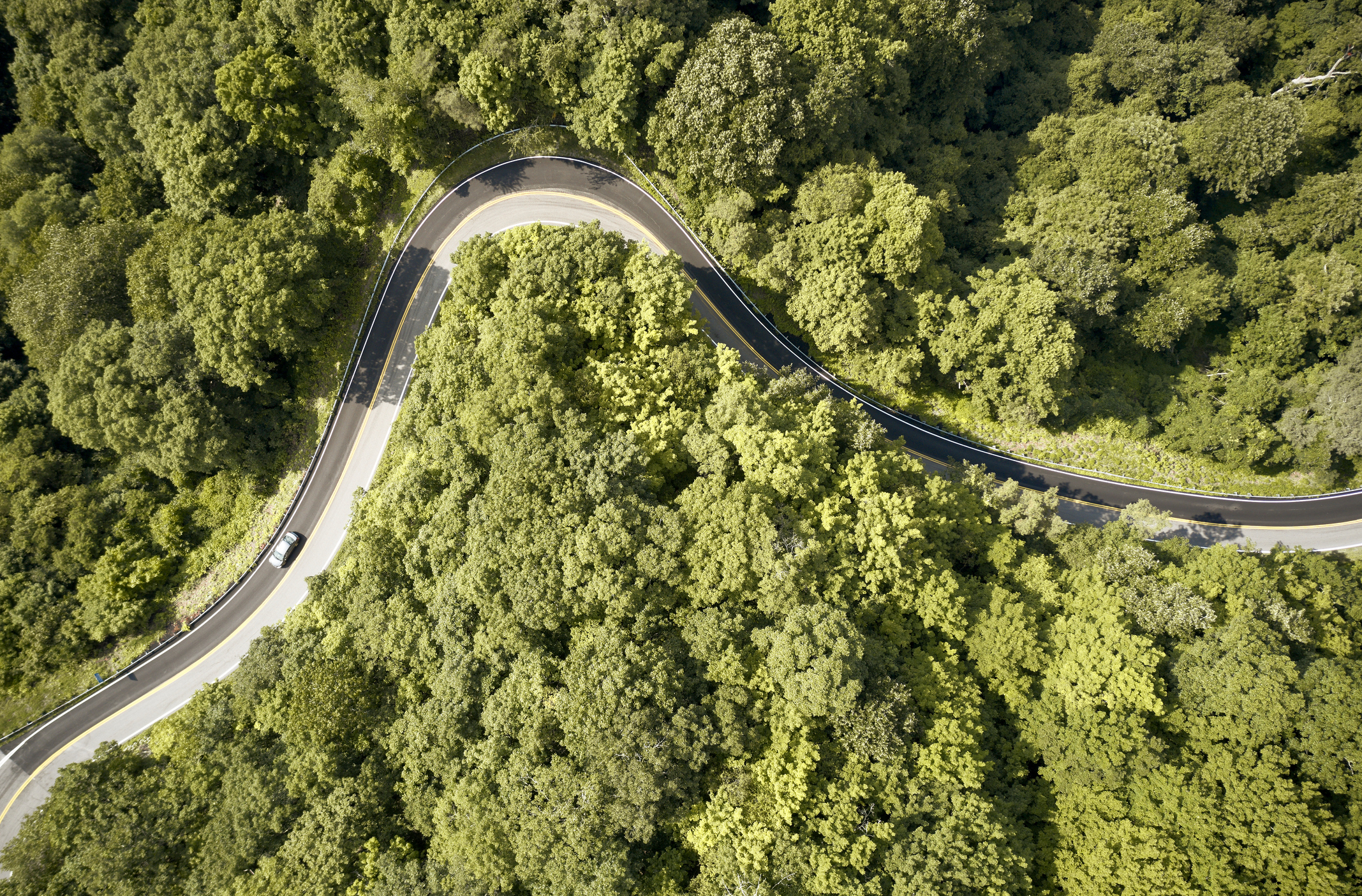 Aerial view of "Back of the Dragon" road winding through a green summer forest