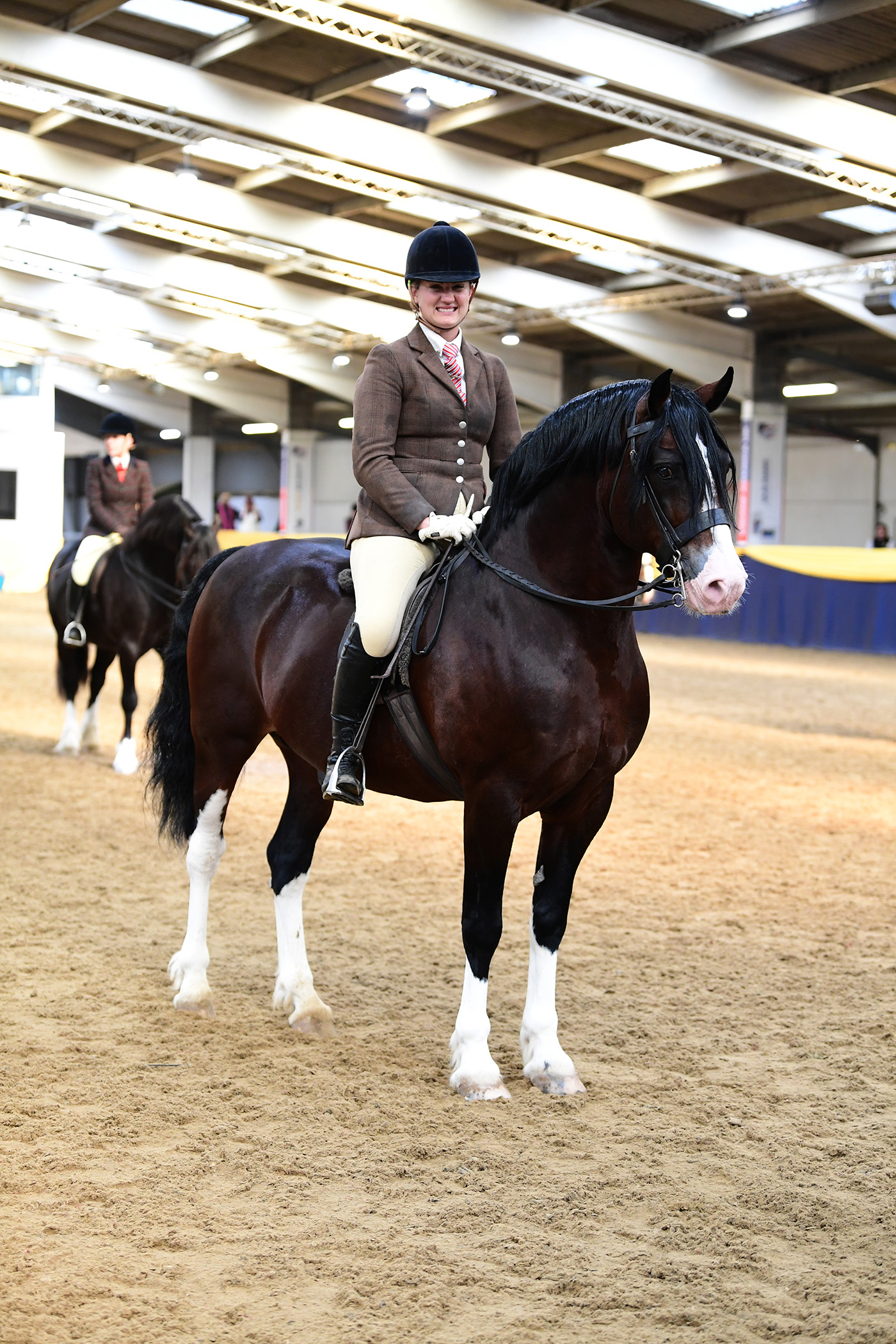 Heritage Show 15.10.2378962