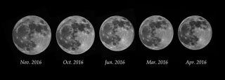 This image by Bill Hood compares the size of the supermoon with the other full moons from 2016. Hood shot the moon photos with a Nikon D750 camera and Nikon 200-500mm lens.