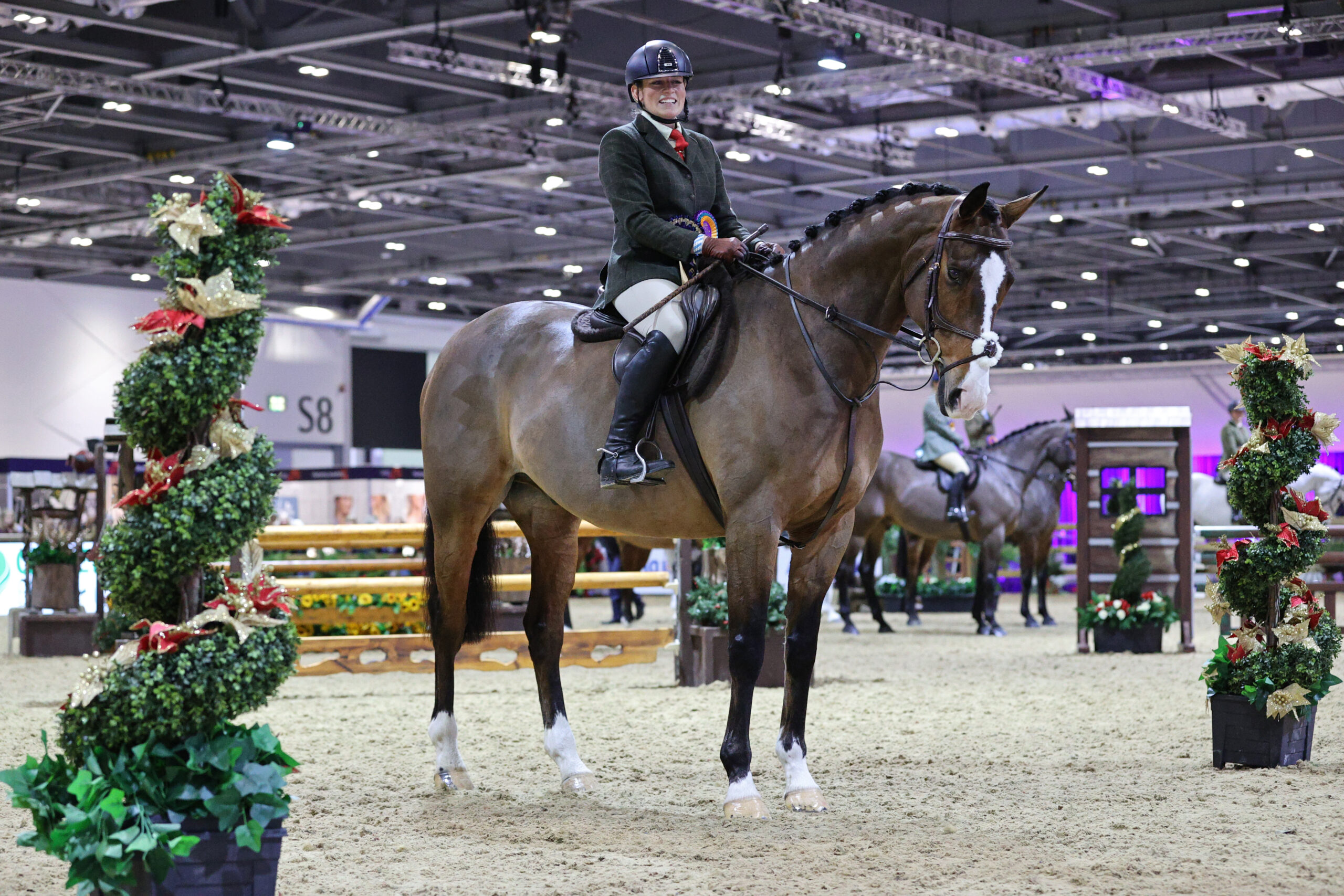 Anna-Higgins-Millmount-Maestro_WORKING-HUNTER-WINNERS-scaled.jpg