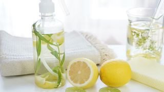 homemade cleaning products