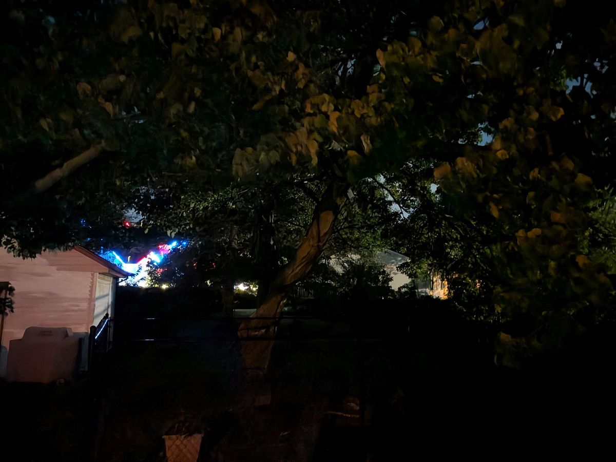 Google Pixel 10 camera sample.