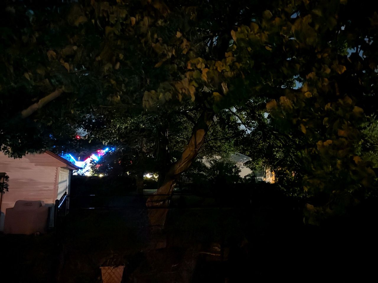 Google Pixel 10 camera sample.