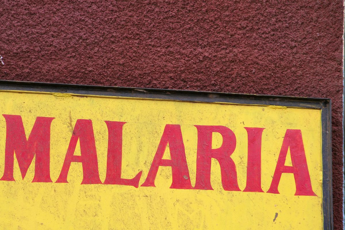 malaria sign