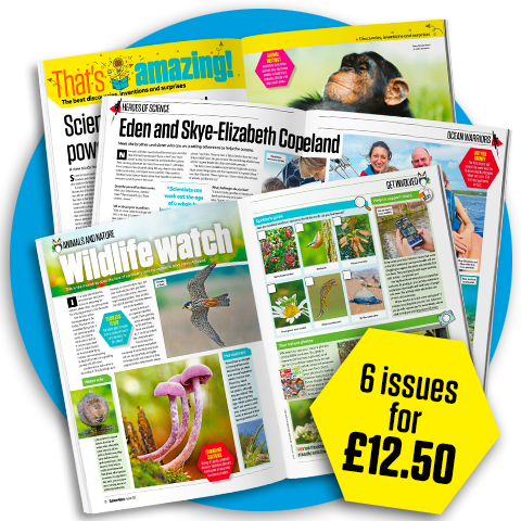 6 issues for £12.50