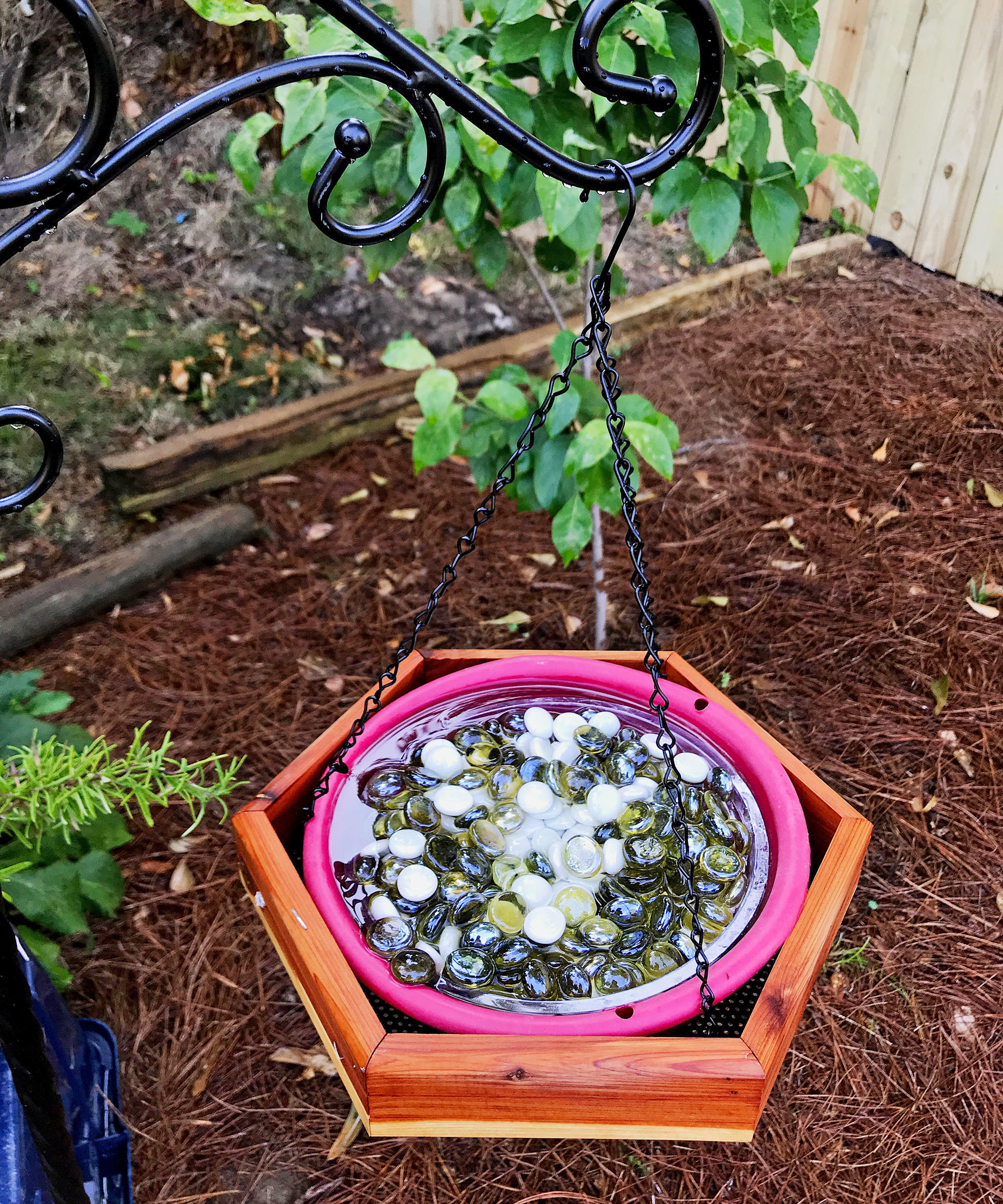 thumbnail image 2 of Bee Watering Station Butterfly Puddler Hummingbird Guyana 2 of 12