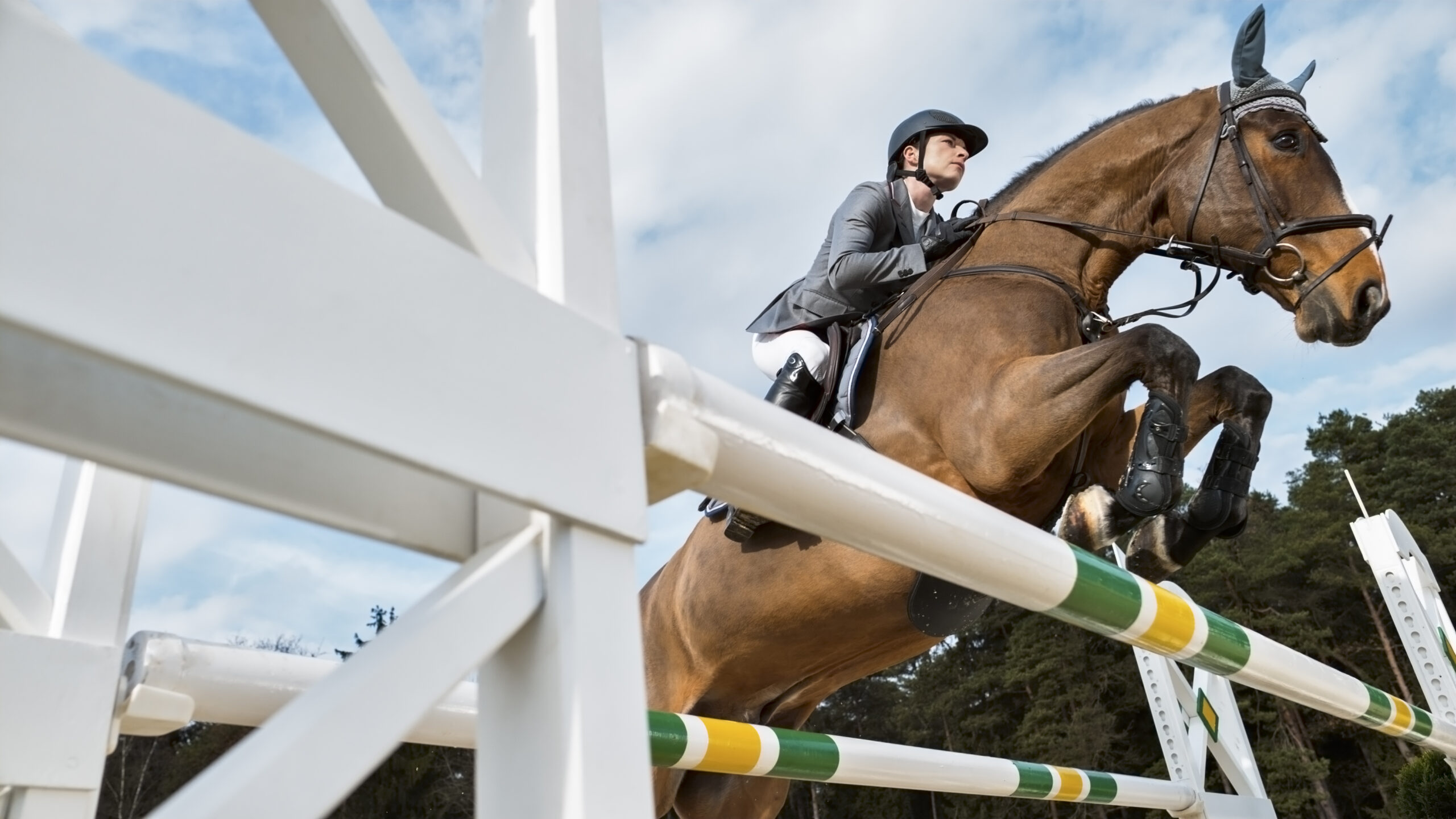 Chestnut horse jumping an oxer with female rider on sunny day &amp;ndash;&amp;nbsp;rider is looking focused and not displaying competition nerves