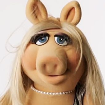 The Kermit and Miss Piggy Breakup Is Nonsense