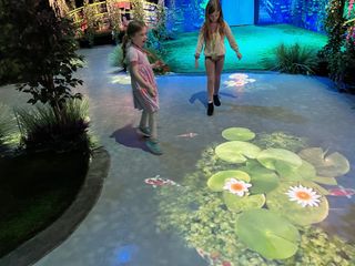 A Monet painting comes to life in an immersive experience in Atlanta.